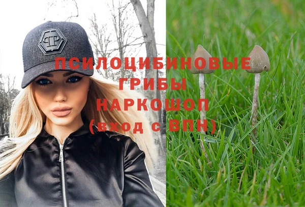 гидра Пересвет