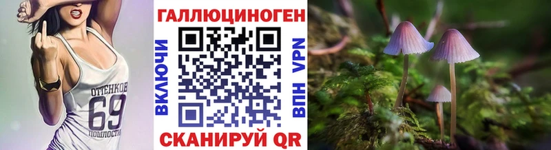 что такое наркотик  даркнет телеграм  Галлюциногенные грибы Psilocybine cubensis  Лиски 